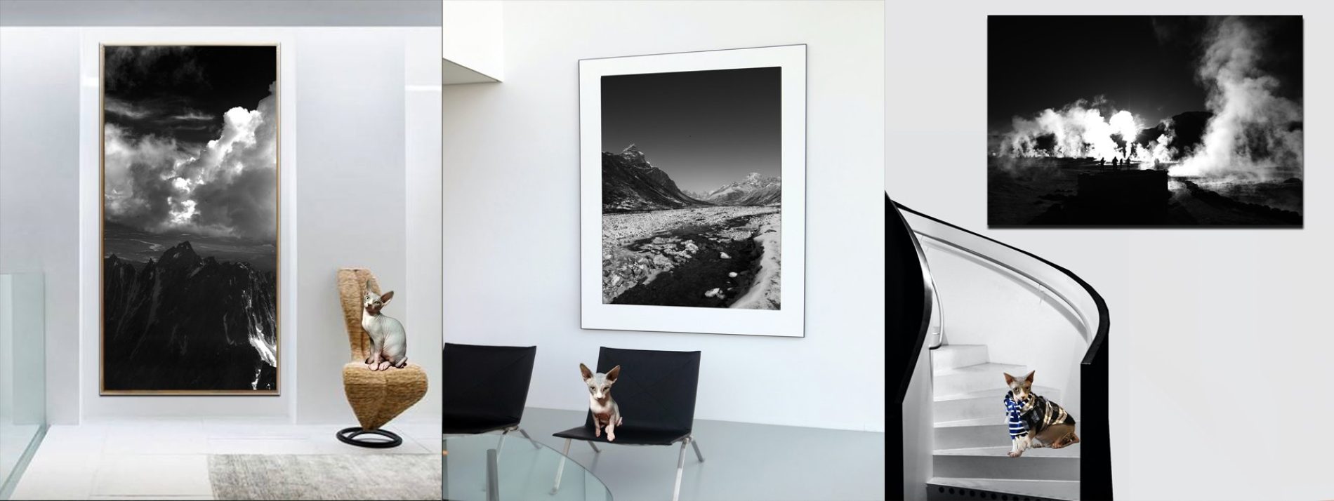 Buy Luxury Premium Fine Arts and Photographs for sale Melbourne Australia by Cosmetic Dentist in Melbourne, Dr Zenaidy Castro