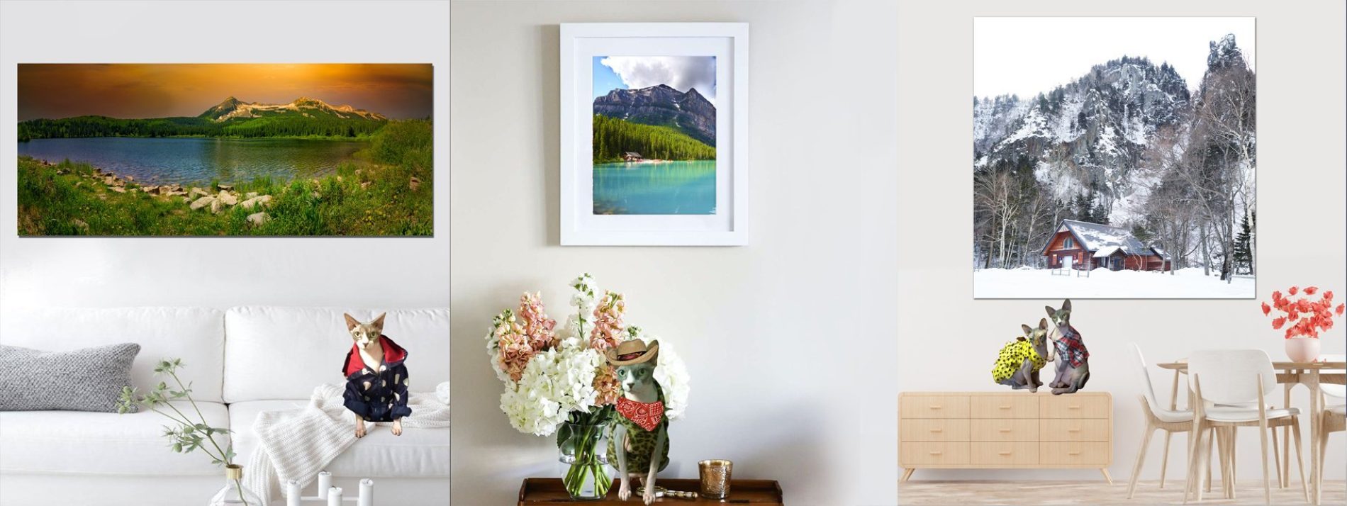 Buy Luxury Premium Fine Arts and Photographs for sale Melbourne Australia by Cosmetic Dentist in Melbourne, Dr Zenaidy Castro