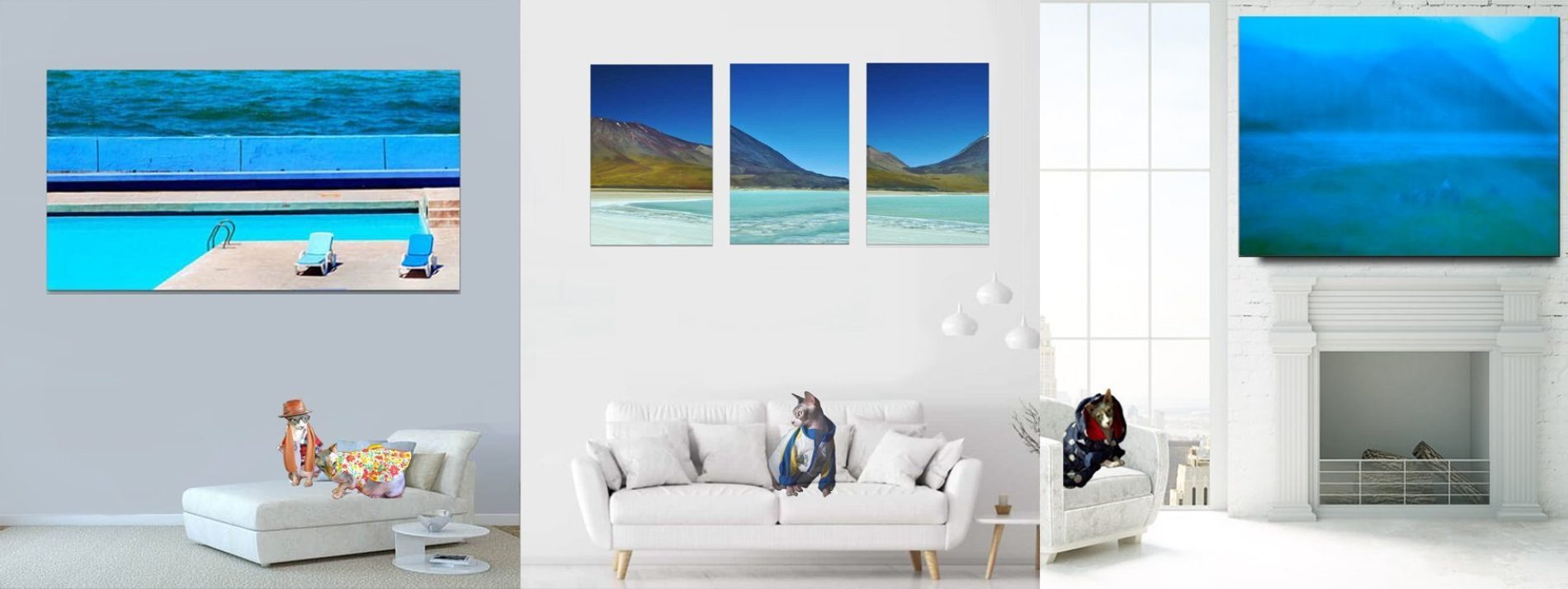 Buy Luxury Premium Fine Arts and Photographs for sale Melbourne Australia by Cosmetic Dentist in Melbourne, Dr Zenaidy Castro