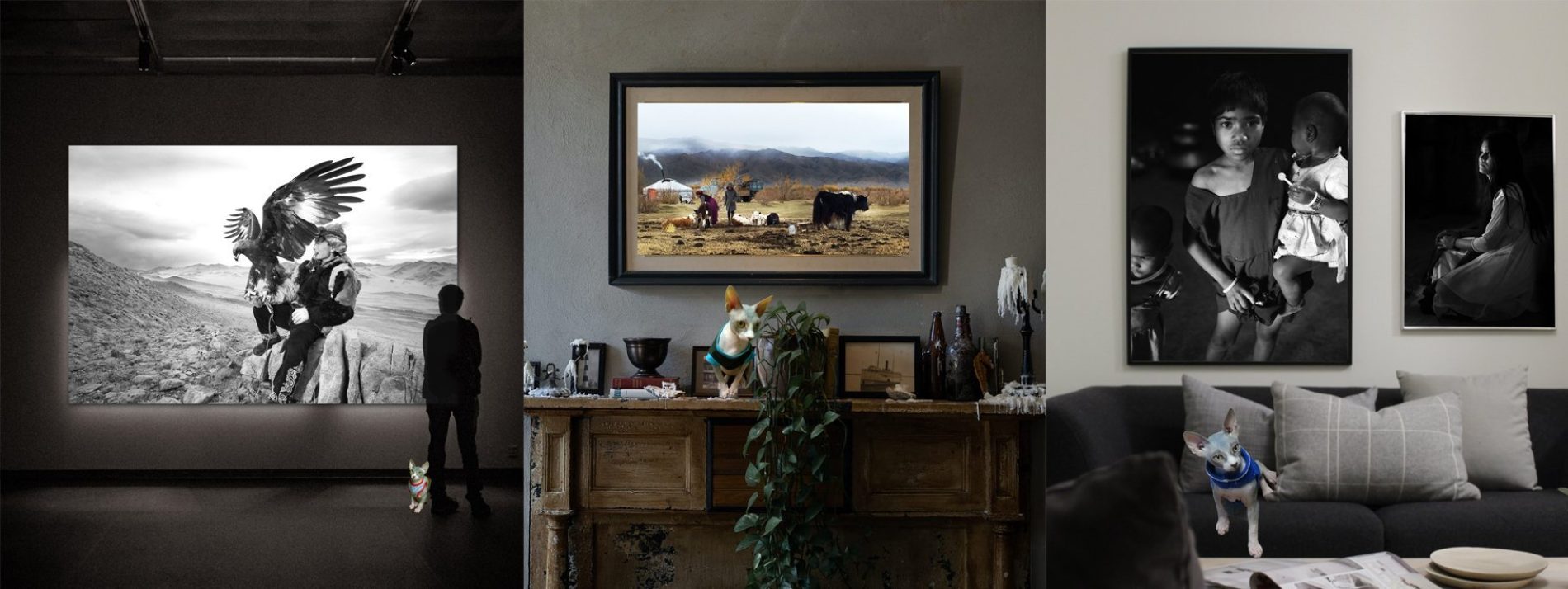 Buy Luxury Premium Fine Arts and Photographs for sale Melbourne Australia by Cosmetic Dentist in Melbourne, Dr Zenaidy Castro