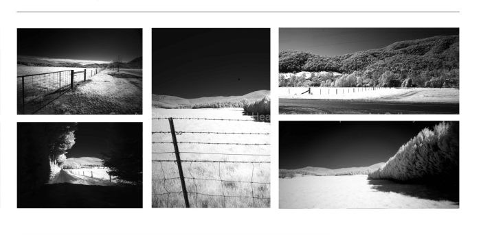 INFRARED-Country-Scene-Victoria-BLACK-AND-WHITE-FINE-ART-PHOTOGRAPHS-FOR-SALE