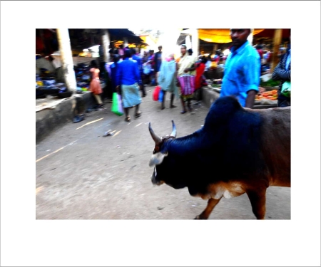 People-Photographs-and-Street-photography-Photos-For-Sale-62