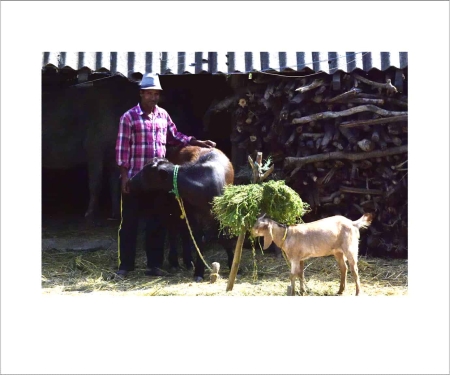 People-Photographs-and-Street-photography-Photos-For-Sale-71