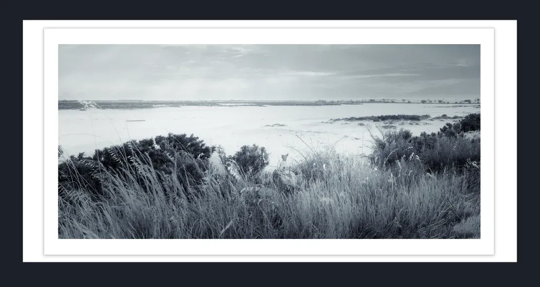 18.19-AUSTRALIAN-LANDSCAPE-Black-and-White-Photographs-LAKE-SALT-LAKE-Lake-Tyrell-Victoria-Australia-L1017687-88-2019