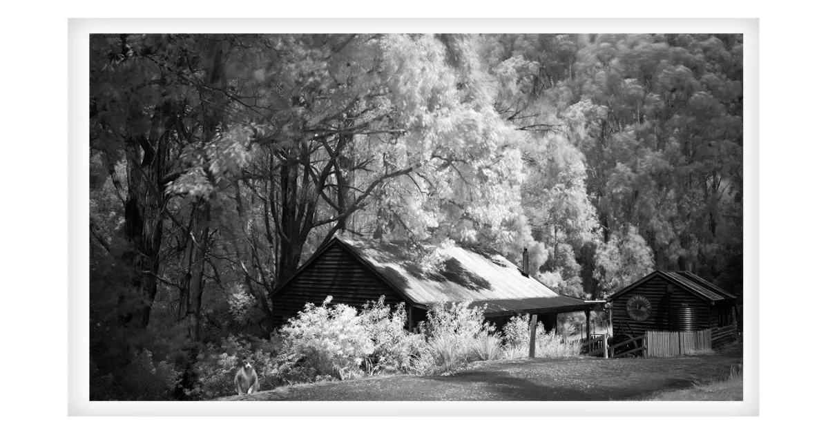 Premium, Luxury, Unique, Original Fine Art Prints of Black and White Infrared Mystical Landscapes and Waterscapes Photos for sale- online gallery in Melbourne Australia - Heart and Soul Whisperer Art gallery by Cosmetic Dentist Dr Zenaidy Castro