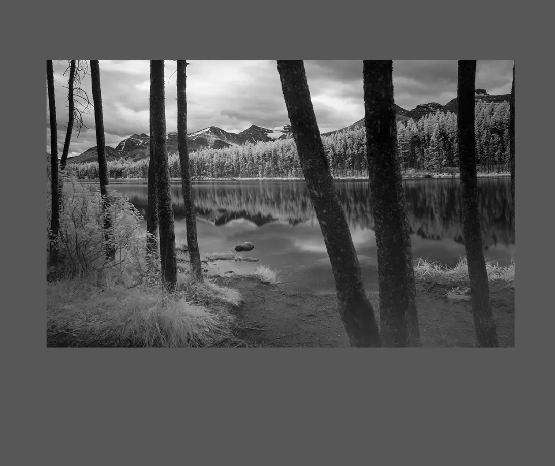 Premium, Luxury, Unique, Original Fine Art Prints of Shop Black and White Infrared Waterscapes Photos for sale- online gallery in Melbourne Australia - Heart and Soul Whisperer Art gallery by Cosmetic Dentist Dr Zenaidy Castro
