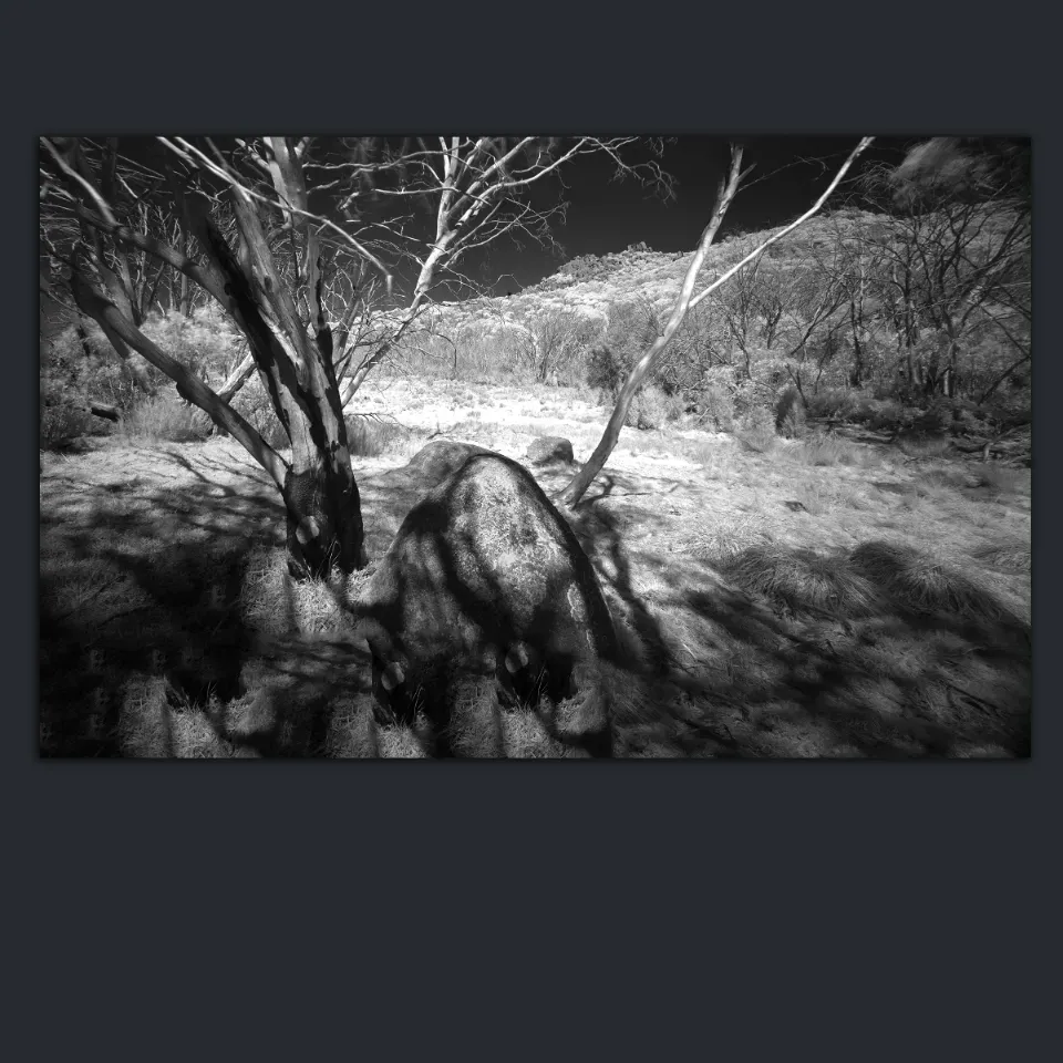 Premium, Luxury, Unique, Original Fine Art Prints of Shop Black and White Infrared Landscapes Photos for sale- online gallery in Melbourne Australia - Heart and Soul Whisperer Art gallery by Cosmetic Dentist Dr Zenaidy Castro