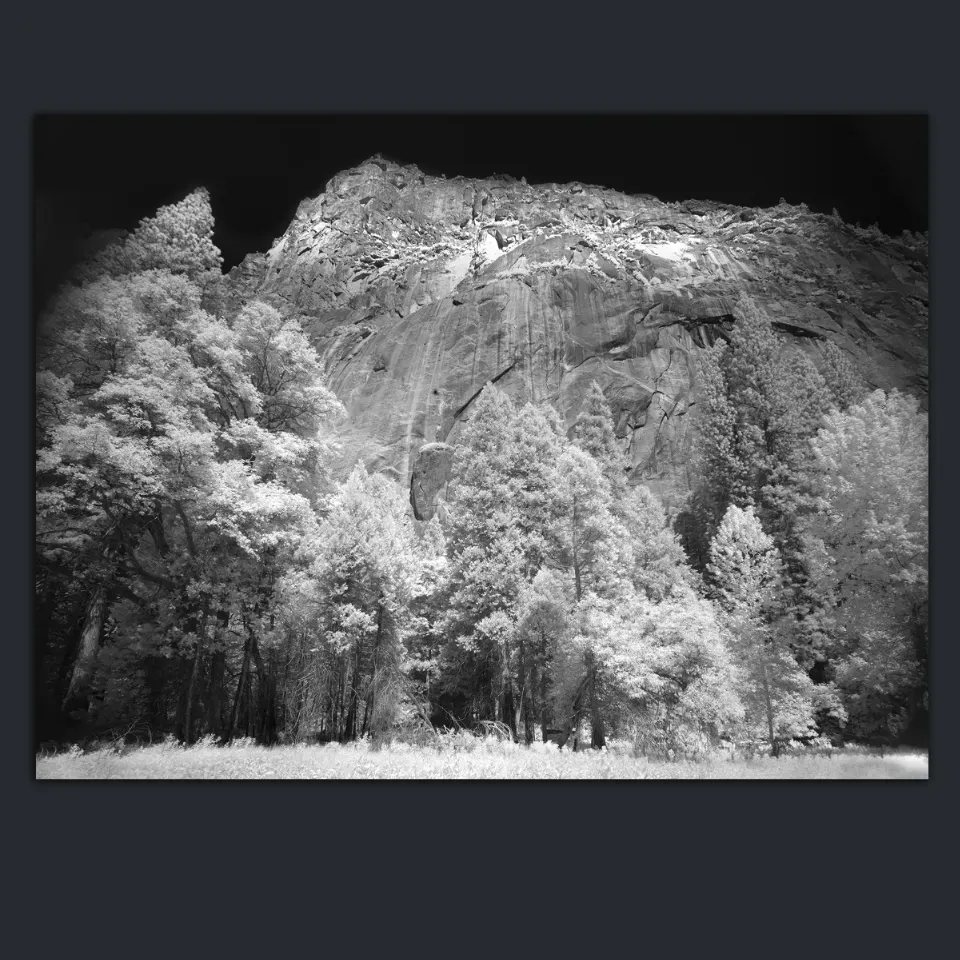 Premium, Luxury, Unique, Original Fine Art Prints of Shop Black and White Infrared Landscapes Photos for sale- online gallery in Melbourne Australia - Heart and Soul Whisperer Art gallery by Cosmetic Dentist Dr Zenaidy Castro