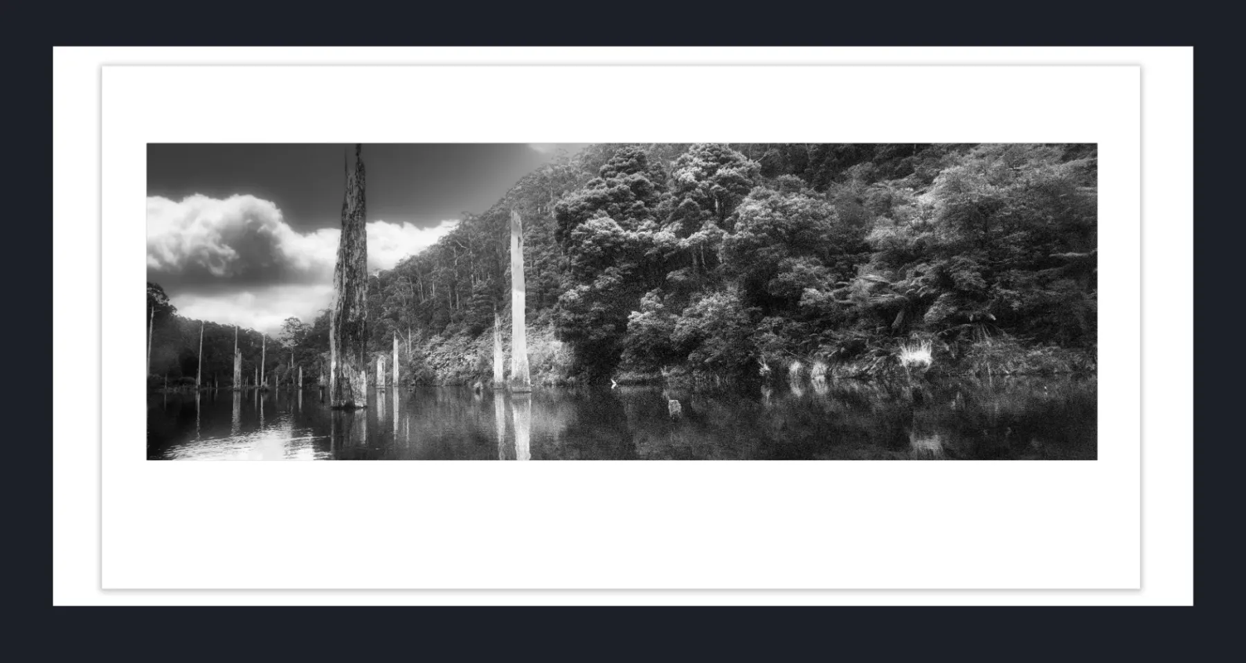 Premium, Luxury, Unique, Original Fine Art Prints of Shop Monochrome Limited Editions Black and White Fine Art Photos - online gallery in Melbourne Australia - Heart and Soul Whisperer Art gallery by Cosmetic Dentist Dr Zenaidy Castro