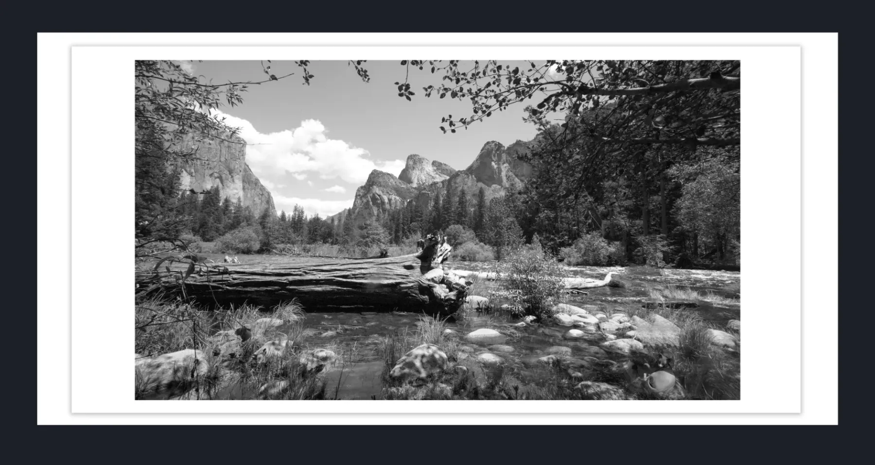 Premium, Luxury, Unique, Original Fine Art Prints of Shop Monochrome Limited Editions Black and White Fine Art Photos - online gallery in Melbourne Australia - Heart and Soul Whisperer Art gallery by Cosmetic Dentist Dr Zenaidy Castro