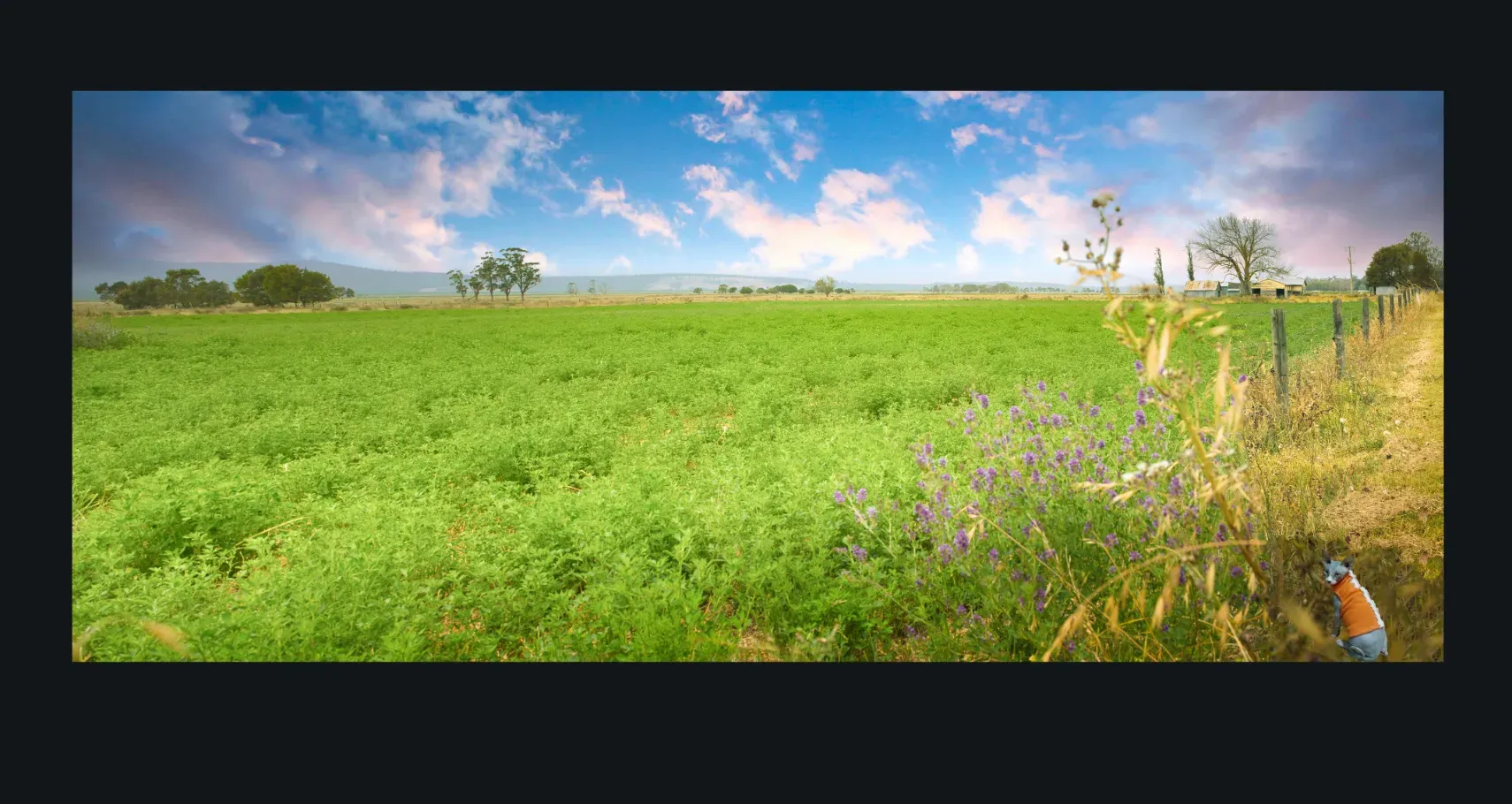 COUNTRY LIVING photographs for sale- Country and Rural Landscape Fine Art Photos for sale