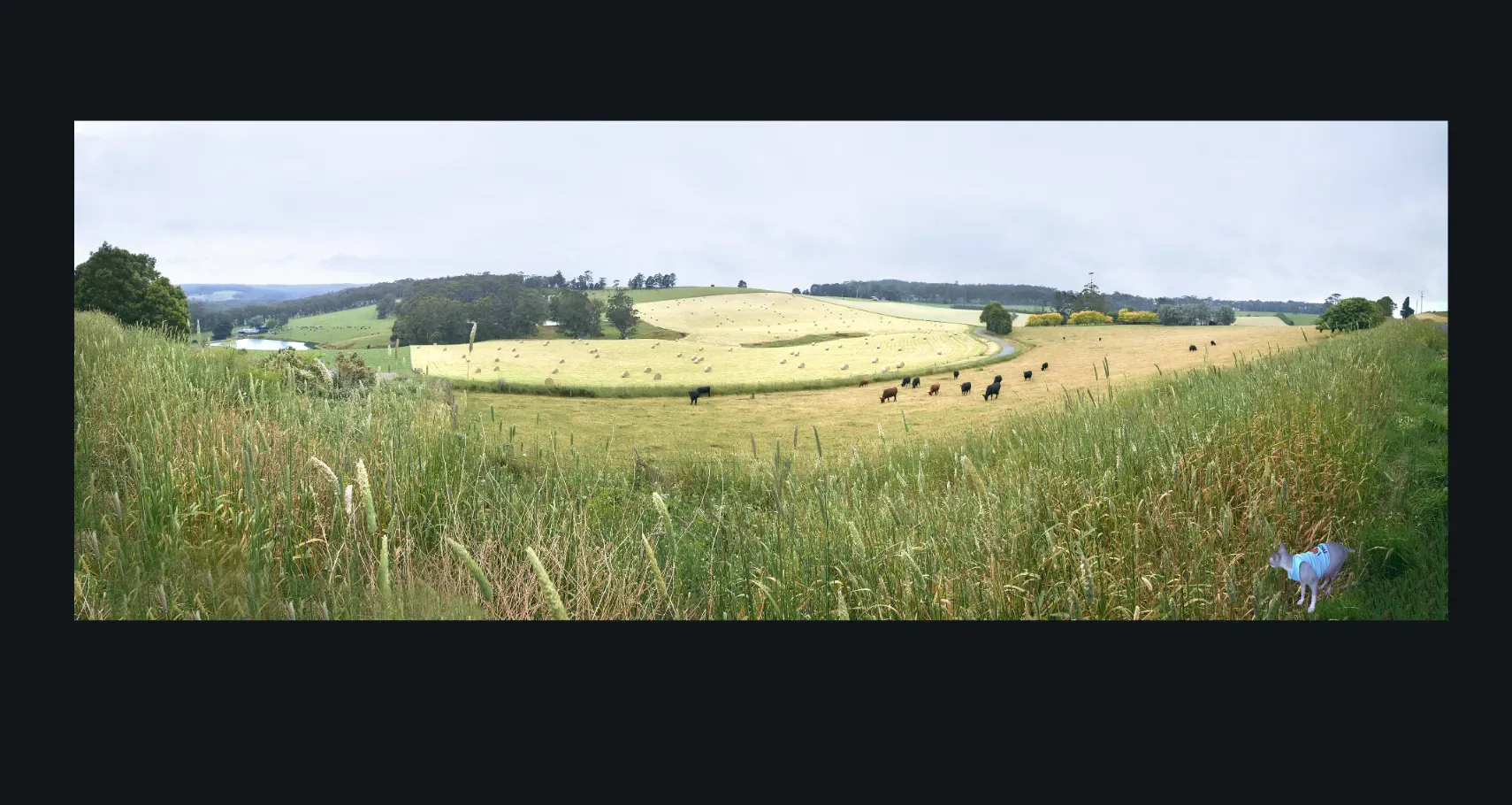 COUNTRY LIVING photographs for sale- Country and Rural Landscape Fine Art Photos for sale