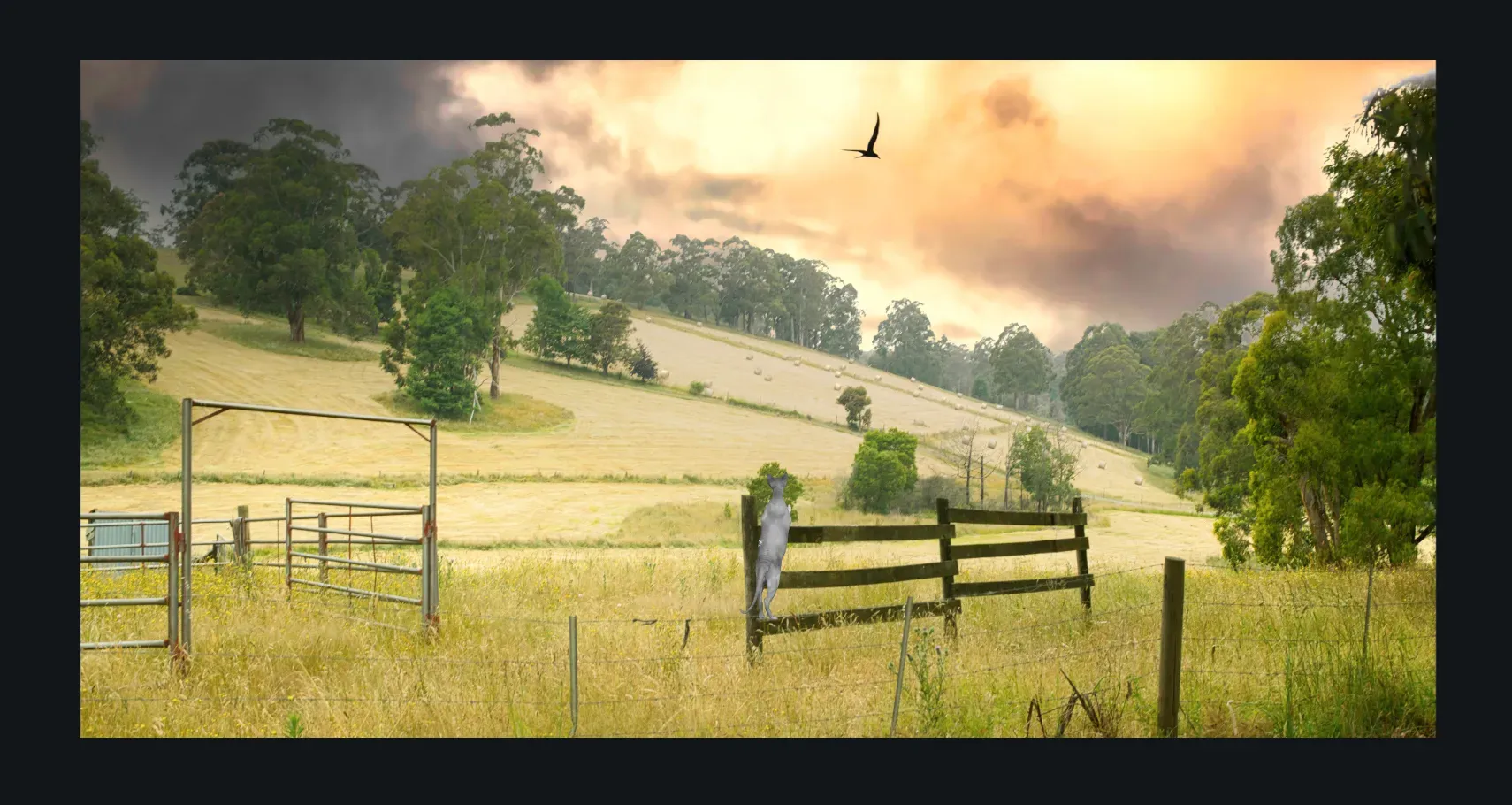 22. 12 52 COUNTRY LIVING Countryside and Rural Landscape Fine Art Photos for sale 15X30 CF014971 Victoria 2019