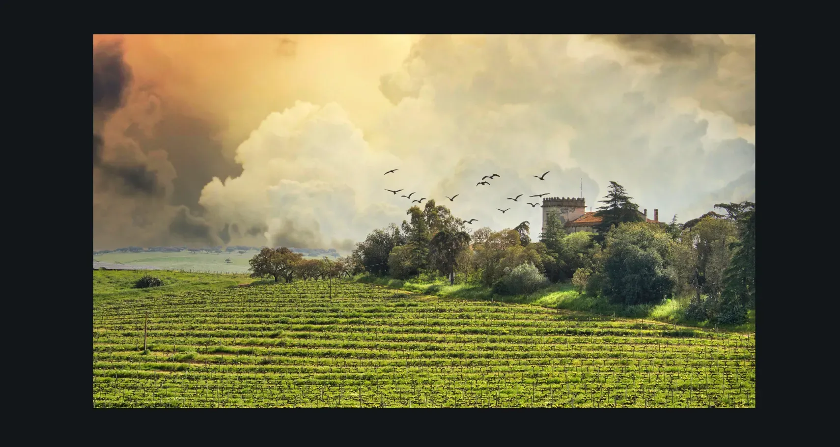 COUNTRY LIVING photographs for sale- Country and Rural Landscape Fine Art Photos for sale