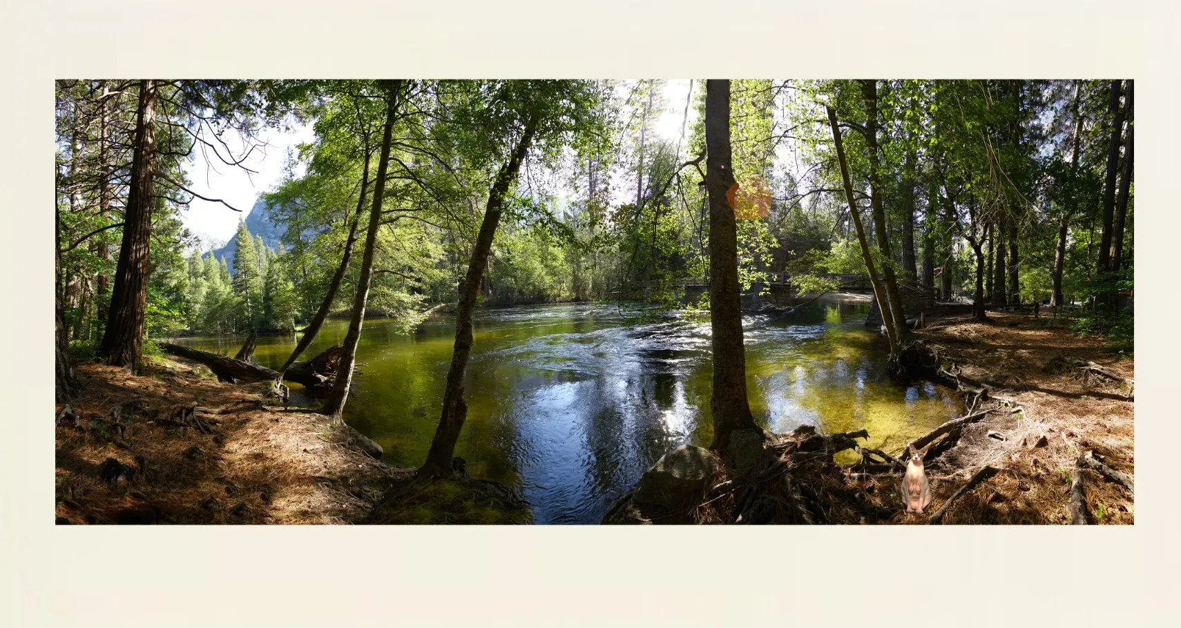 23.-1-9-WATERSCAPES-At-the-Waters-Edge-Fine-Art-Photos-for-sale-CF005247-49-Yosemite-USA-2016