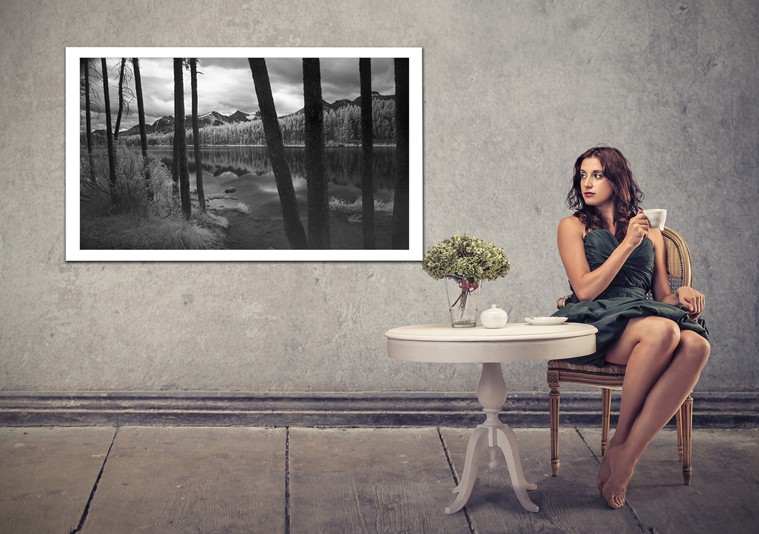 Fine Art Gift Certificates