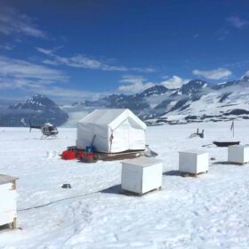 Glacier Landing with Dog Sledding adventure Alaska, Glacier Dog Sledding & Helicopter Tour, Glacier Dog Sled Adventure, Alaska Glacier Dogsledding plus Lower Glacier Landing, Dr Zenaidy Castro award winning Photographer