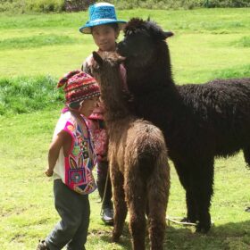 Cusco to Puno Peru Travel by 9 hours Bus Ride, Cusco to Puno Bus Tour in Peru