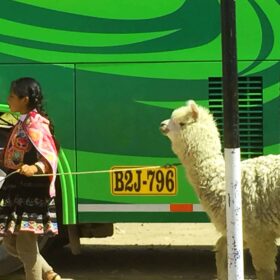 Cusco to Puno Peru Travel by 9 hours Bus Ride, Cusco to Puno Bus Tour in Peru