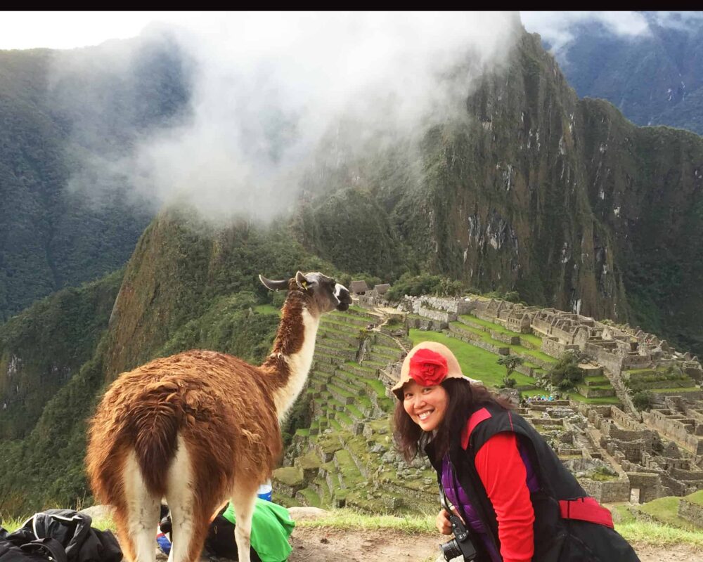 Llamas of Machu Picchu, llamas in peru, Llamas And The Peruvian Culture, Historic Sanctuary of Machu Picchu, Machu Picchu Travel Guide