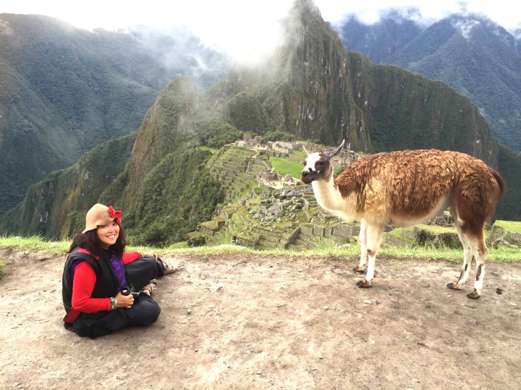 Llamas of Machu Picchu, llamas in peru, Llamas And The Peruvian Culture, Historic Sanctuary of Machu Picchu, Machu Picchu Travel Guide