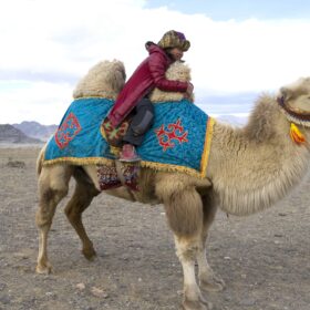 Managing Fear Riding Camel, Conquering the fear of riding Camel in Mongolia, What to Expect When Riding Camel, Camel Riding in Mongolia, Camel riding experience