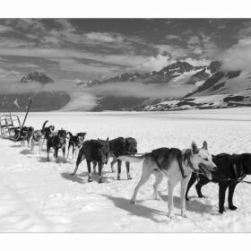 Glacier Landing with Dog Sledding adventure Alaska, Glacier Dog Sledding & Helicopter Tour, Glacier Dog Sled Adventure, Alaska Glacier Dogsledding plus Lower Glacier Landing