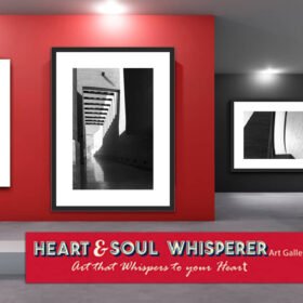 Still Life Photography