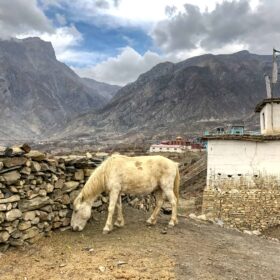 Lower Mustang Nepal Trekking Trail, Street Photos in Lower Mustang Loop Trek, Travel Photography of the Lower Mustang Trek blog by Dr Zenaidy Castro, Lower Mustang Trek photos