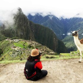 Llamas of Machu Picchu, llamas in peru, Llamas And The Peruvian Culture, Historic Sanctuary of Machu Picchu, Machu Picchu Travel Guide