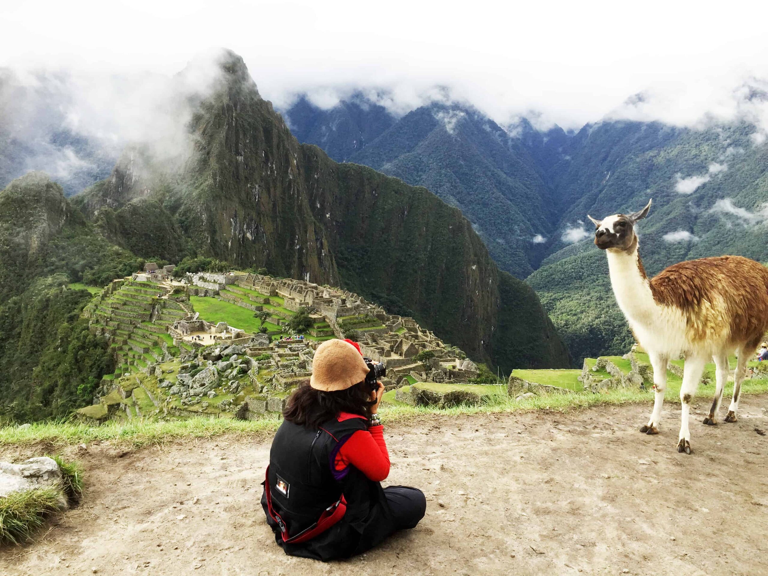Llamas of Machu Picchu, llamas in peru, Llamas And The Peruvian Culture, Historic Sanctuary of Machu Picchu, Machu Picchu Travel Guide