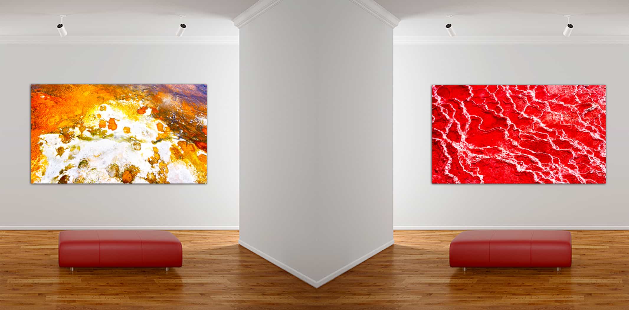 Buy Luxury Premium Fine Arts and Photographs for sale Melbourne Australia by Cosmetic Dentist in Melbourne, Dr Zenaidy Castro