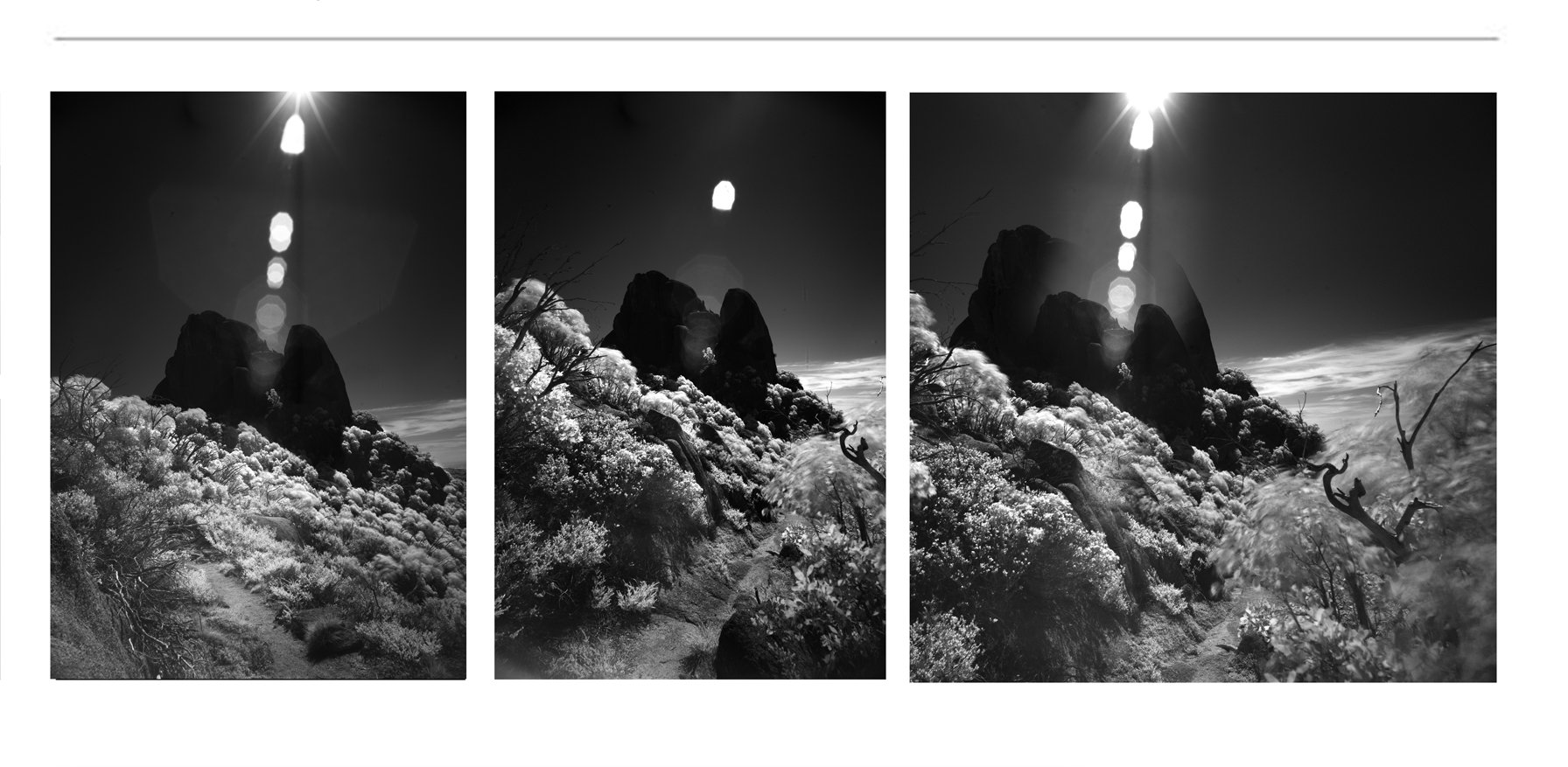 BLACK AND WHITE FINE ART PHOTOGRAPHS FOR SALE (1)