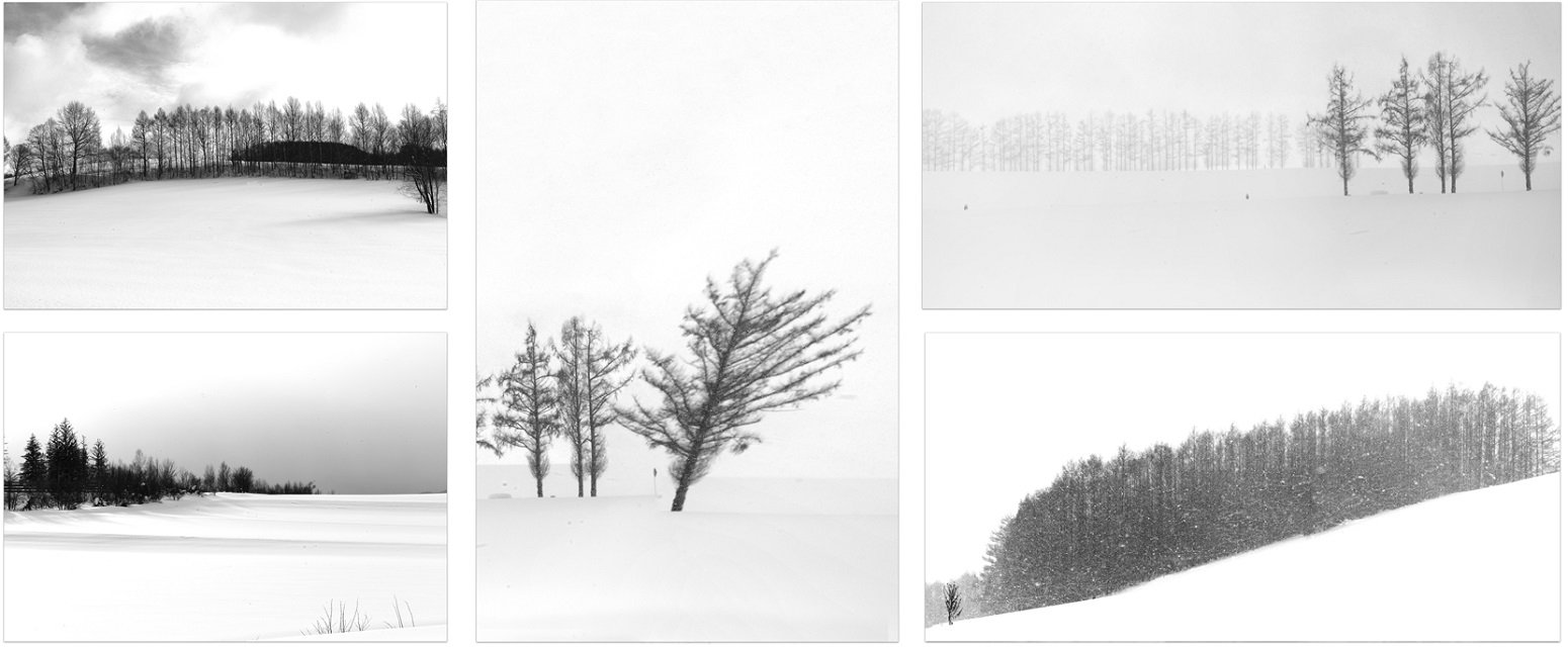 Hospitality Fine Art Prints & Artworks