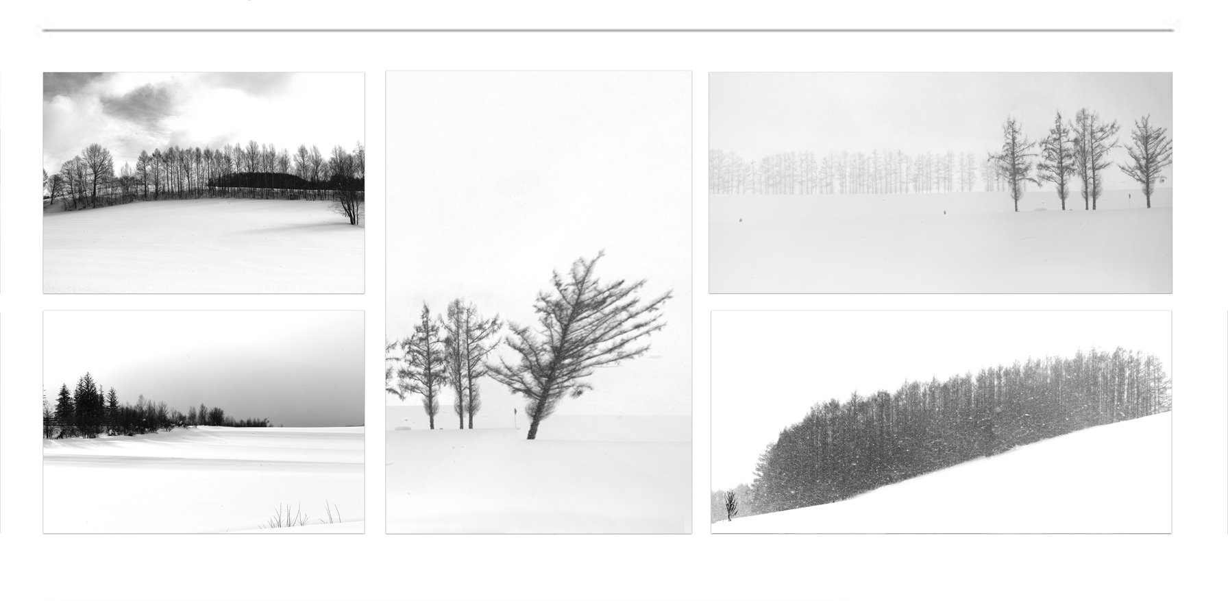 BLACK AND WHITE FINE ART PHOTOGRAPHS FOR SALE (4)