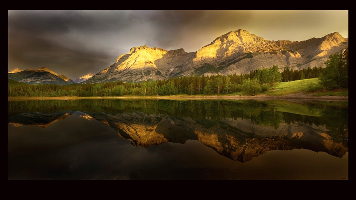 Business and Trade Discount for Fine Art