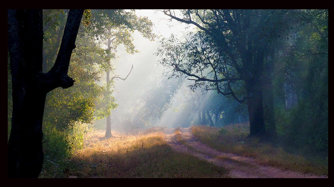 Healthcare Art for Hospitals, Dental Clinics, Medical Spaces, Hospital Art, Dental Clinic art, medical clinic art