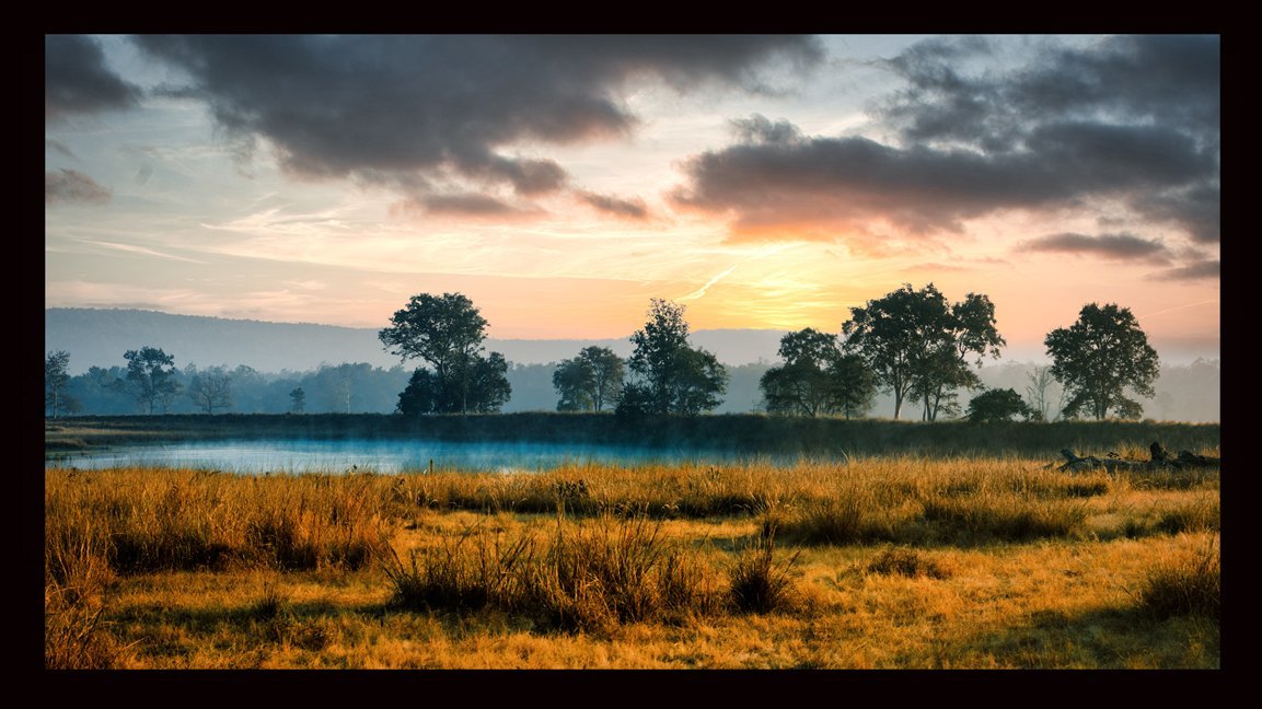 Business and Trade Discount for Fine Art