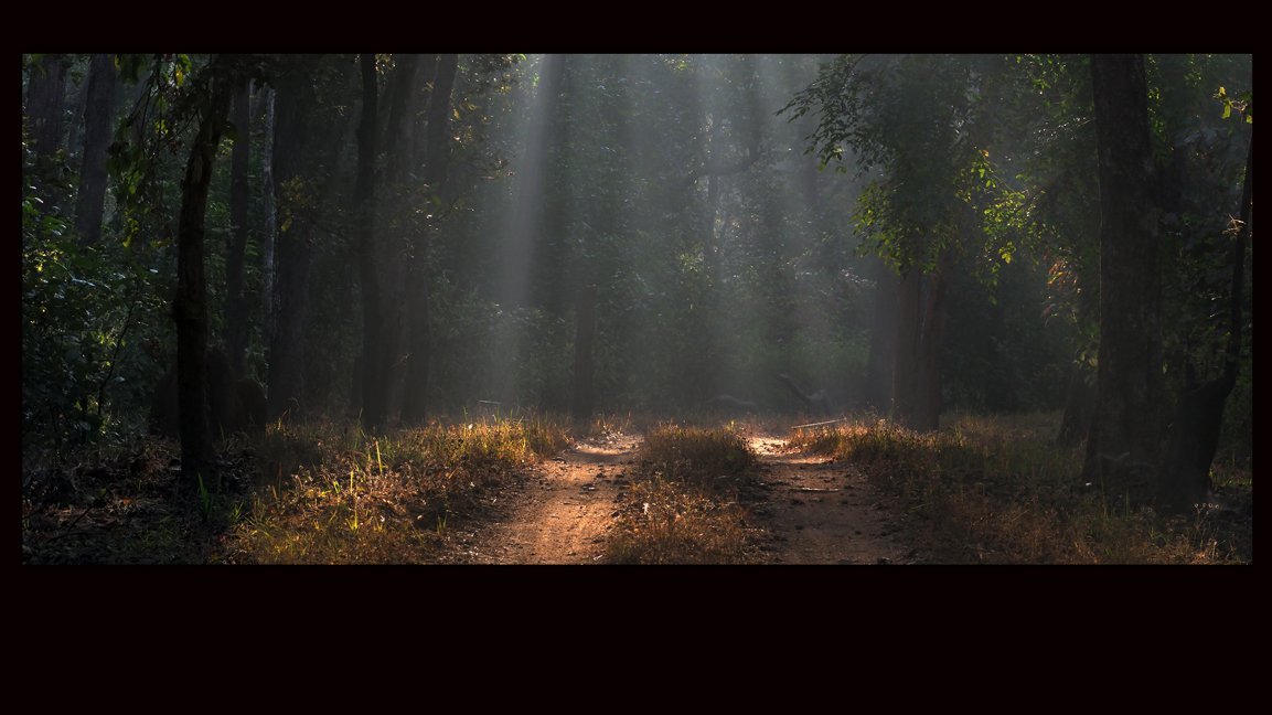 Healthcare Art for Hospitals, Dental Clinics, Medical Spaces, Hospital Art, Dental Clinic art, medical clinic art