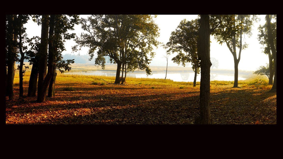 Healthcare Art for Hospitals, Dental Clinics, Medical Spaces, Hospital Art, Dental Clinic art, medical clinic art