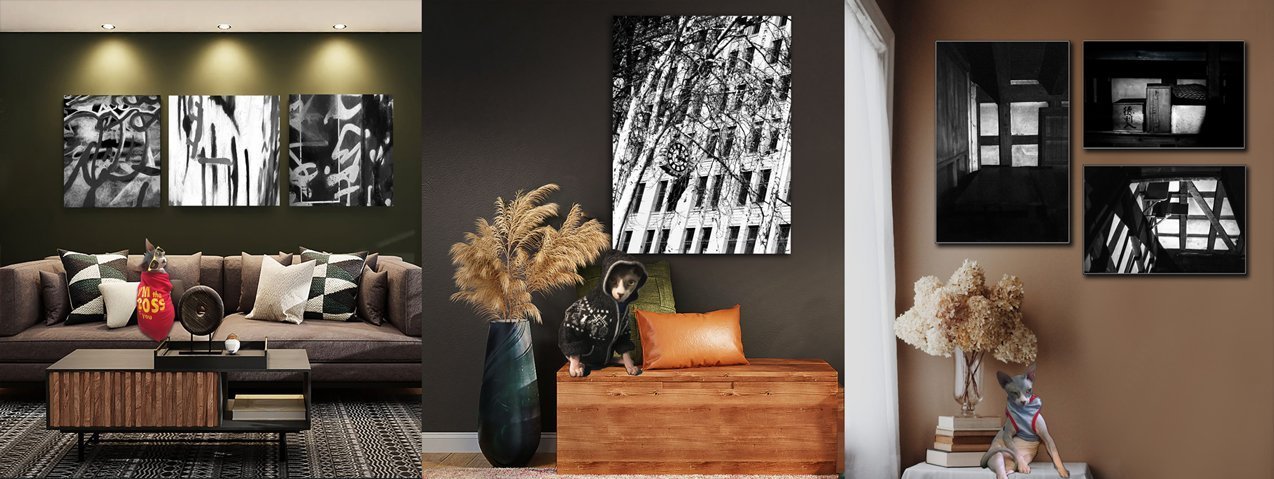 Buy Luxury Premium Fine Arts and Photographs for sale Melbourne Australia by Cosmetic Dentist in Melbourne, Dr Zenaidy Castro