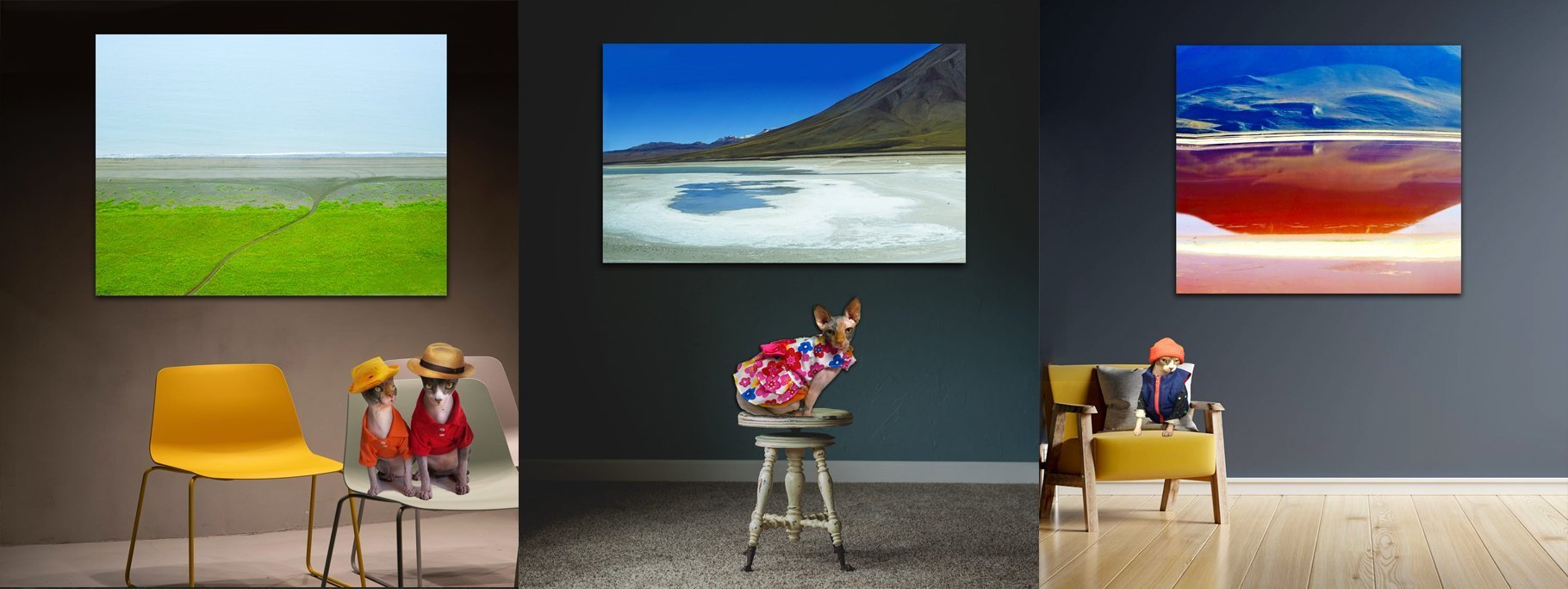 Buy Luxury Premium Fine Arts and Photographs for sale Melbourne Australia by Cosmetic Dentist in Melbourne, Dr Zenaidy Castro