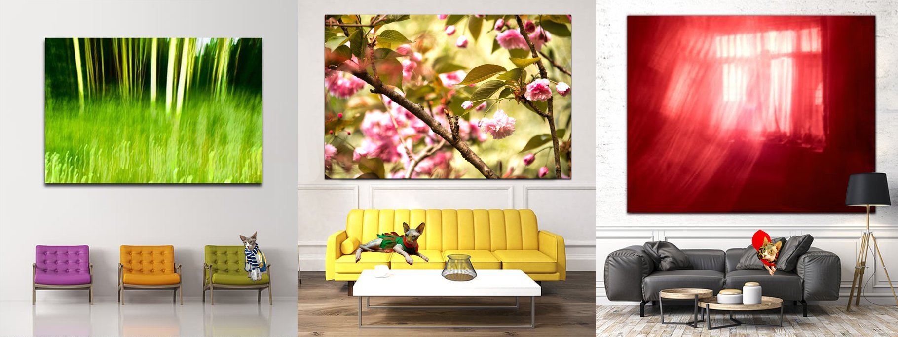 Buy Luxury Premium Fine Arts and Photographs for sale Melbourne Australia by Cosmetic Dentist in Melbourne, Dr Zenaidy Castro