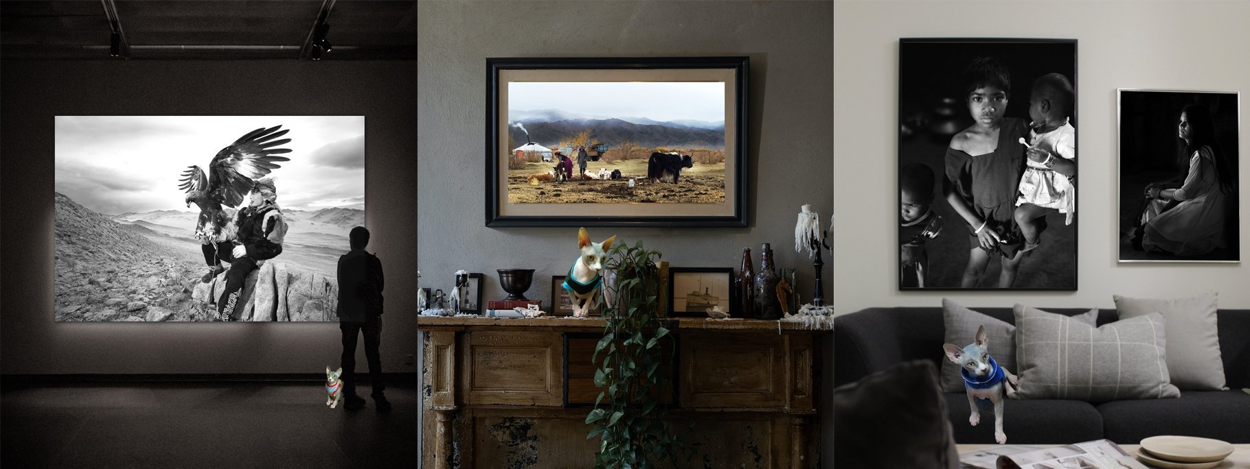 Buy Luxury Premium Fine Arts and Photographs for sale Melbourne Australia by Cosmetic Dentist in Melbourne, Dr Zenaidy Castro