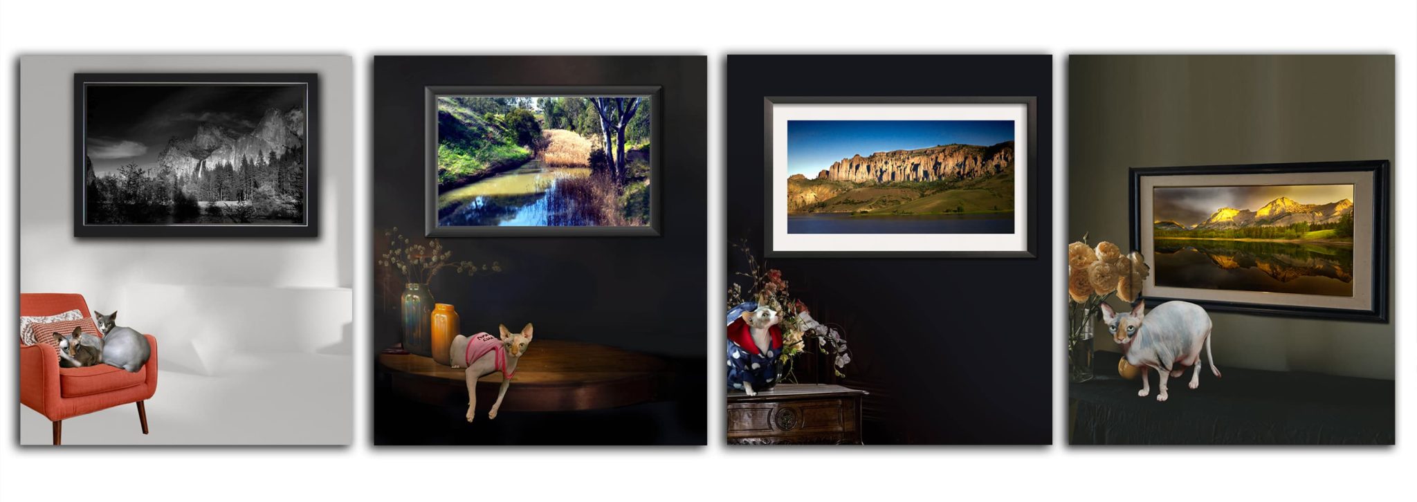 Curated People and Street Photography by Dr Zenaidy Castro, General and Cosmetic dentist of Vogue Smiles Melbourne Australia.