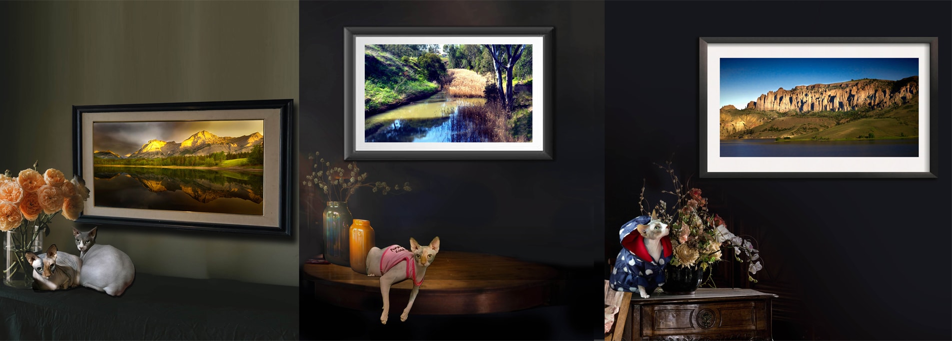 Curated People and Street Photography by Dr Zenaidy Castro, General and Cosmetic dentist of Vogue Smiles Melbourne Australia.