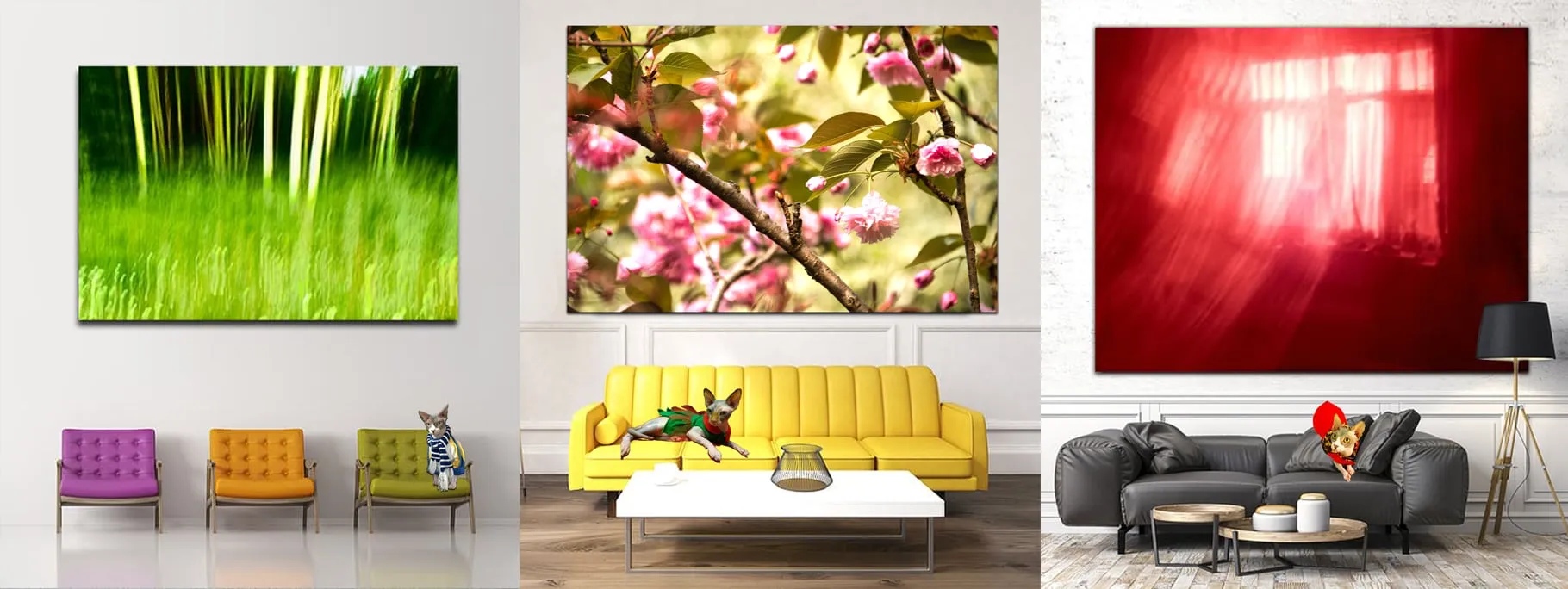 PREMIUM FINE ART PHOTOGRAPHS FOR SALE MELBOURNE AUSTRALIA