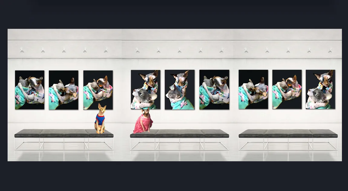 Premium, Luxury, Unique, Original Fine Art Prints of Shop Monochrome Limited Editions Black and White Fine Art Photos - online gallery in Melbourne Australia - Heart and Soul Whisperer Art gallery by Cosmetic Dentist Dr Zenaidy Castro