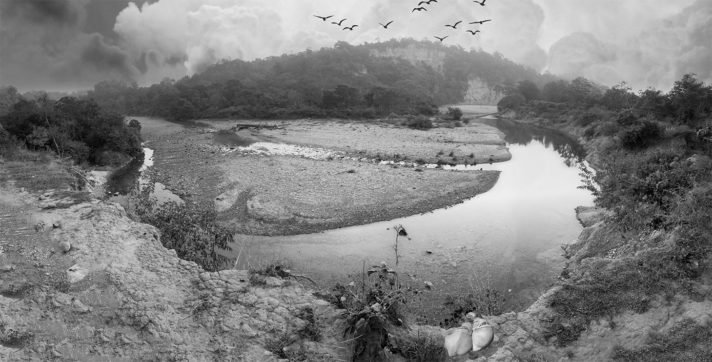 Exotic Cat Breed in Art - Sphynx Cats in Art - Exotic Sphynx Cats Photos for sale