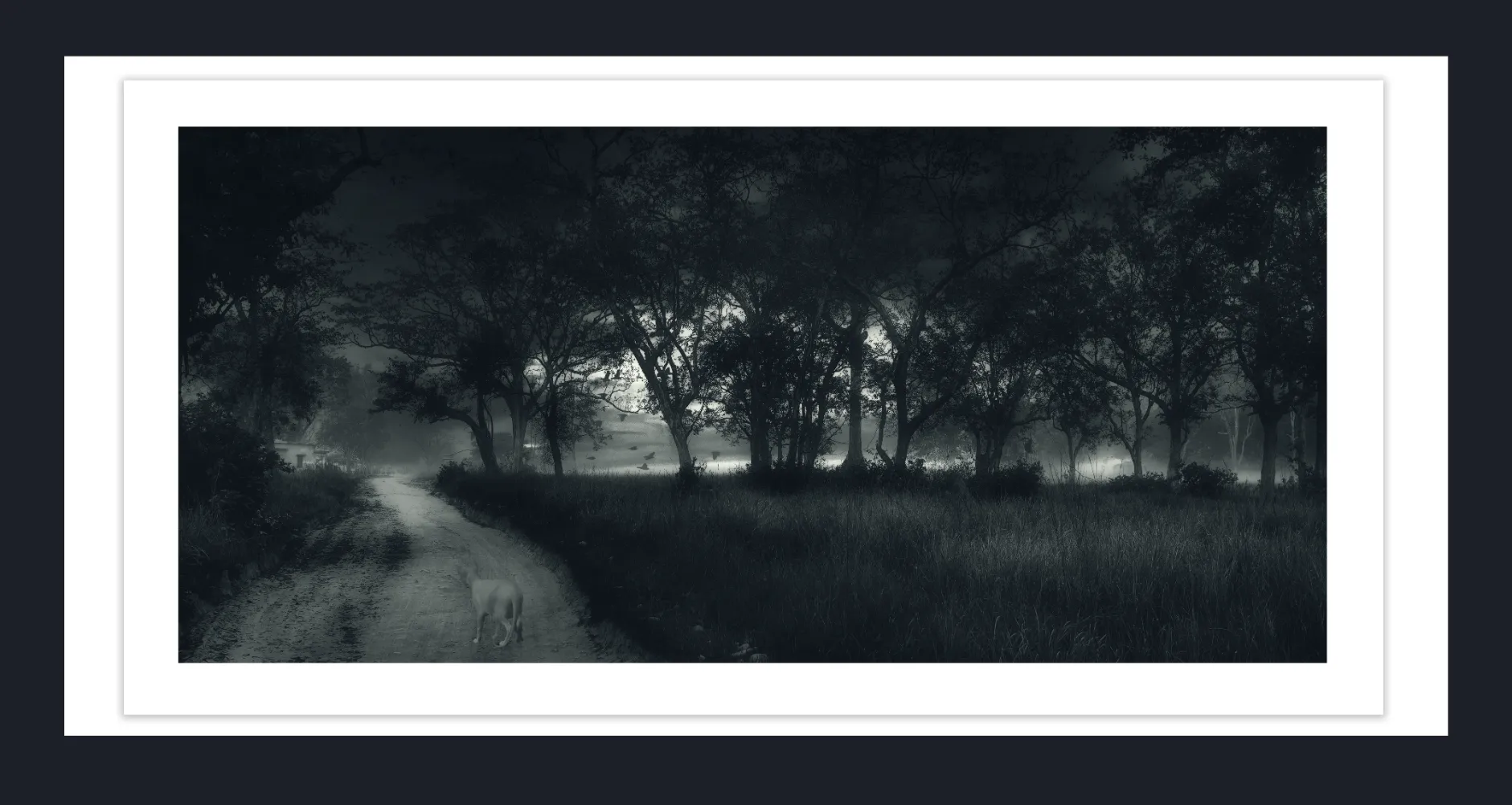 IMMORTALIZE YOUR PET THROUGH ARTS